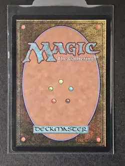 MTG Wasteland R (0023) Non-foil Secret Lair: An Encyclopedia Of Magic (2025) - Image 2