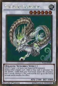 *** NATURIA BARKION *** 1ST EDITION (NM) GOLD RARE PGL2-EN087 YUGIOH! - Image 1