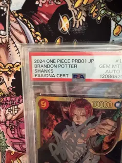 Autographed One Piece Shanks Prb-01 Signed Brandon Potter Card PSA 10 Card &Auto - Image 2