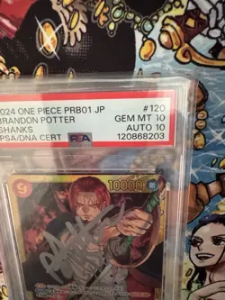 Autographed One Piece Shanks Prb-01 Signed Brandon Potter Card PSA 10 Card &Auto - Image 3