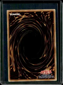 Yu-Gi-Oh! Phantom Darkness Booster Rainbow Neos Japanese #PTDN-JP044 - Image 2