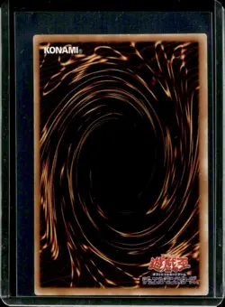 Yu-Gi-Oh! Black Rose Dragon Ultimate Rare Crossroads of Chaos #CSOC-JP039 - Image 2
