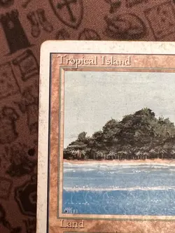 Tropical Island Revised Edition Regular MP MTG - Image 2
