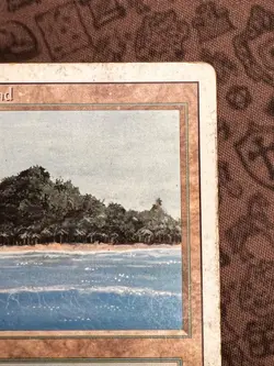 Tropical Island Revised Edition Regular MP MTG - Image 3