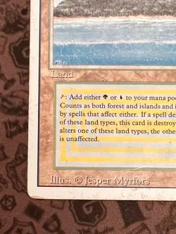 Tropical Island Revised Edition Regular MP MTG - Image 5