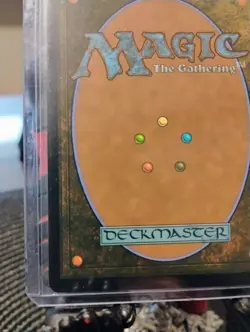 Windfall (Rainbow Foil) MTG Secret Lair Halloween Superdrop NM - Image 5