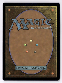 Champion Of Lambholt LP* Commander Anthology ENGLISH 134/312 mtg -UnltdCards - Image 2