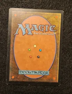 MTG Piracy Portal 2nd Age LP - Image 2