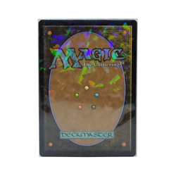 Prismatic DefenderR Holographic Perfect Fits - Foil Inner Card Sleeves - TCG MTG - Image 5