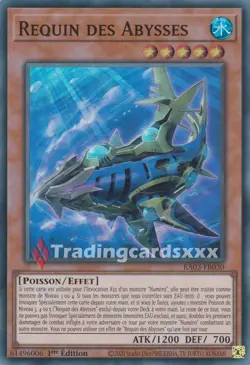 Yu-Gi-Oh! Requin des Abysses : SR RA03-FR030 - Image 1