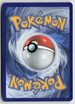 Tepig - SWSH172 - SWSH: Sword & Shield Promo Cards Holo - PTCG - LP - Image 2