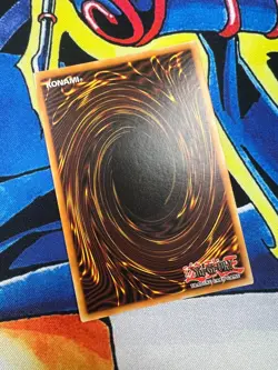 Dracotail Phryxul - DOOD-EN023 - 1st Edition - Secret Rare - NM/LP - Yugioh - Image 2