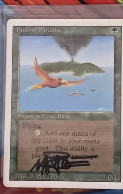 MTG ▪ Mark Poole Artist Bundle ▪ Secret Lair ▪ Birds of Paradise ▪ Playmat - Image 3