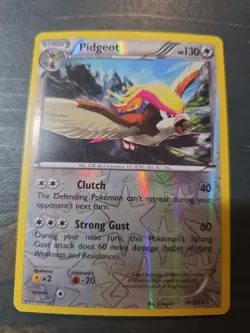 Pidgeot Holo Rare 77/108 - XY Evolutions - NM - Pokemon Card - Image 1