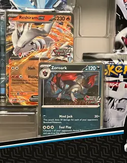 Pokemon Unova Heavy Hitters Premium Collection Costco 2-pack, ready to ship! - Image 5