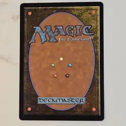 MTG -The Cabbage Merchant - Extended Art - FOIL - Avatar: The Last Airbender 203 - Image 3