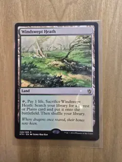 Windswept Heath - #248/269 (NM) Khans of Tarkir KTK Magic MTG - Regular - Image 1