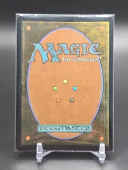 MTG Abandoned Air Temple 0263 Avatar: The Last Airbender (TLA) Rare Foil Land - Image 2