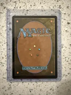 MTG Terrasymbiosis (Borderless) #312 Edge of Eternities Regular - Image 2