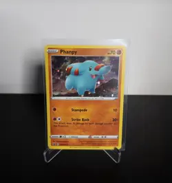 Pokemon TCG Phanpy SWSH117 Black Star Promo Cosmos Holo NM/M - Image 1