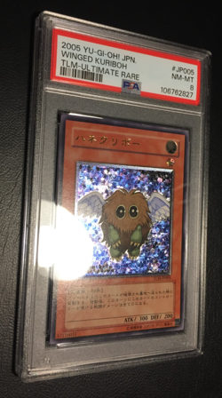 Winged Kuriboh | Ultimate Rare | 2005 TLM| PSA 8 Near Mint | japanese | Yu-Gi-Oh - Image 3