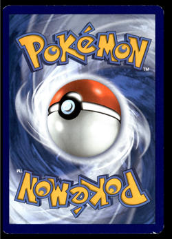 ✅Pokemon Light Toxtricity SWSH137 SWSH: Sword & Shield Promo Cards Holo✅NM✅B4AA✅ - Image 2