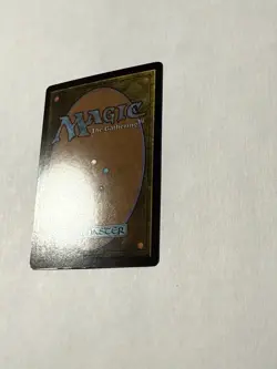 The Cabbage Merchant Extended Art FOIL (TLE 0203) MTG Avatar 2025 - Image 4