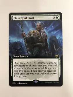 Blessing of Frost Extended Borderless MTG Magic the Gathering Card NM Mint KHM - Image 1