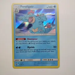 Feraligatr 24/70 - Holo Rare Dragon Majesty Pokemon Card TCG - NM - Image 1