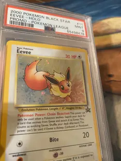 2000 Pokemon Black Star Promo Eevee Holo #11 PSA 9 Mint - Image 3