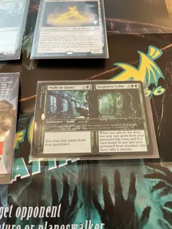 MTG Duskmourn Card Lot Living Death Razorkin Needlehead Walk-in Closet +more - Image 3