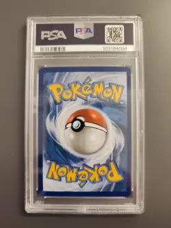 Pokemon TCG Horsea 067/064 Shrouded Fable Holo Graded PSA 10 - Image 2