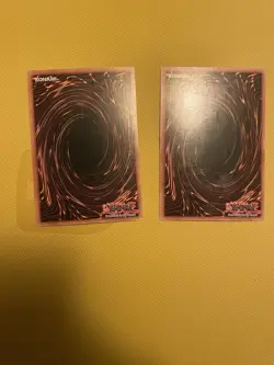 2x Lonefire Blossom 1st Edition PTDN-EN088 YuGiOh Phantom Darkness LP - Image 2