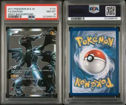 2011 POKEMON B&W ZEKROM GRAY BACKGROUND #114 FULL ART PSA 8 NM - Image 1