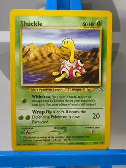 Shuckle 72/111 - Common - WOTC - Neo Genesis - Pokemon TCG - NM - Image 3