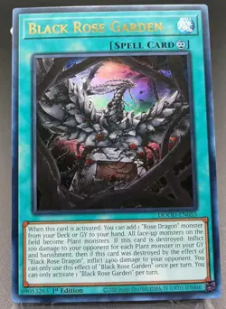 Black Rose Garden DOOD-EN055 Ultra Rare 1st Edition Near Mint Yu-Gi-Oh! - Image 1