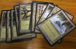 Magic the Gathering Basic Land 14 Card Lot Forest and Snow Covered Forest - Image 1