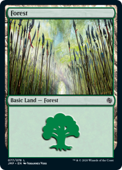 Forest (77) Jumpstart NM Basic Land MAGIC THE GATHERING MTG CARD ABUGames - Image 1