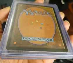 Blood Pet 7th Edition Regular - Image 4