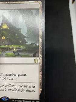 Witch's Clinic Commander 2021 Regular MTG 081 - Image 5