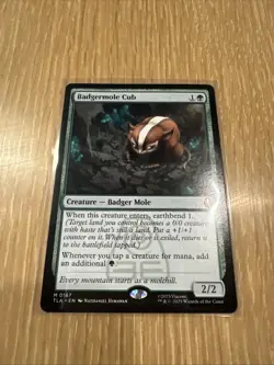 Badgermole Cub - MTG: Avatar The Last Airbender - NM 167 (Non-Foil) - Image 1