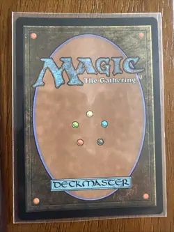 Tamiyo, Collector of Tales (Stained Glass) - FOIL - Secret Lair - Mint - MTG - Image 2