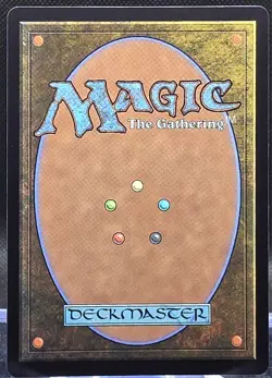 Adarkar Wastes #377 Dominaria United Regular Rare Borderless - Image 2