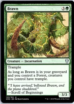 Brawn U Commander Anthology Volume II 133 LP Magic - Image 1