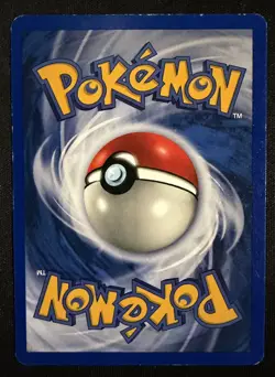 Marill 29 WOTC Black Star Promo Pokemon Card - Image 2
