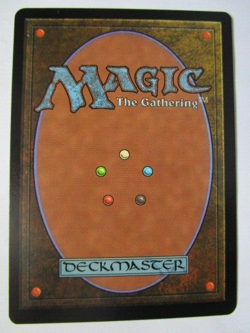 MTG Hickory Woodlot Mercadian Masques Land Light Play!! - Image 2
