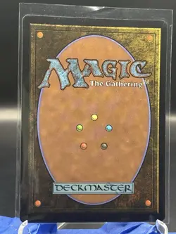 The Cabbage Merchant - Foil - NM - MTG: Avatar - Image 2