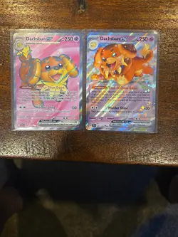 Pokemon TCG Bundle - 160/142 Dachsbun EX Full-Art - 067/142 Dachsbun EX Holo - Image 1