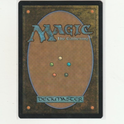 Appa, Steadfast Guardian; Avatar: The Last Airbender - Image 2