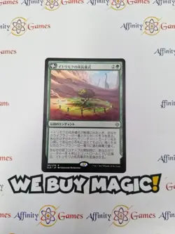 MTG | Growing Rites of Itlimoc | IXL | Regular | Light Played | JPNanese - Image 1